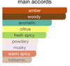 Colorful chart showing main accords of Amber Oud Gold Edition perfume including amber, woody, citrus, fresh spicy, warm spicy