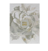 Floral design with 'Musk & Roses' text on a white background
