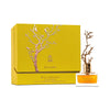 Deciduous Autumn 100ml EDP Gift Set - Aurora Scents Fragrance Aurora Scents