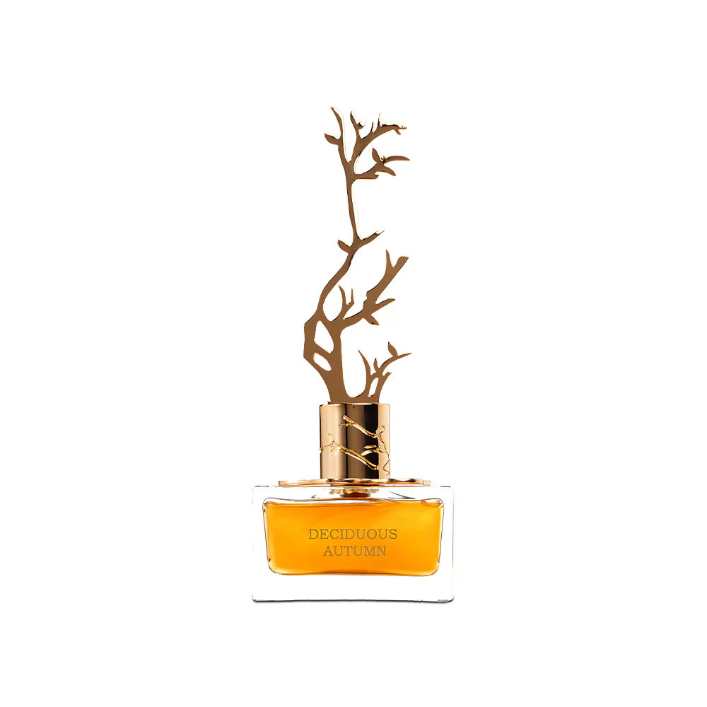 Deciduous Autumn 100ml EDP Gift Set - Aurora Scents Fragrance Aurora Scents