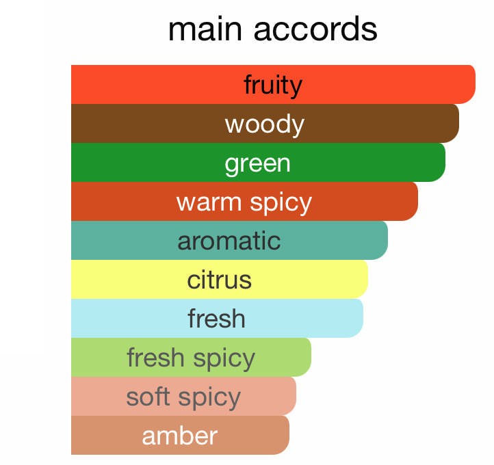 Black and white graphic of 9pm Perfume EDP by Afnan