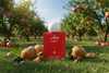 Red perfume bottle with 'Jivko' branding in an apple orchard.